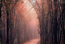 天涯神贴那些神贴