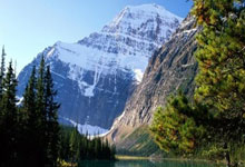 天涯神贴背后的真实故事，老铁你肯定不知道！